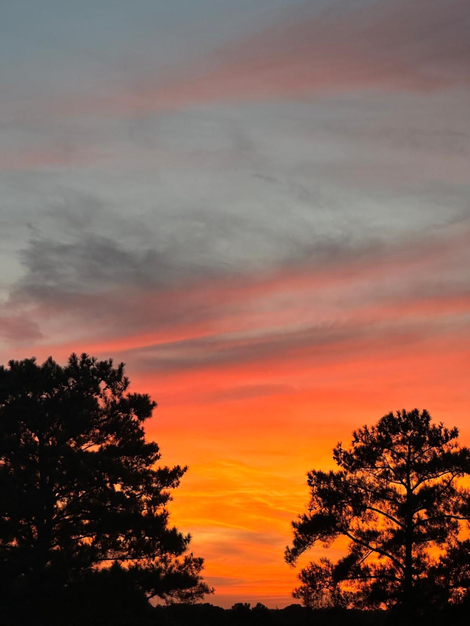 La Quinta Inn By Wyndham Columbia Ne Fort Jackson 외부 사진